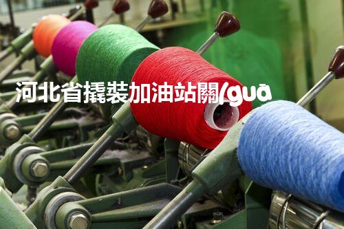 河北省撬裝加油站關(guān)鍵技術(shù)突破！化工廠拆除工程的新方法探索？